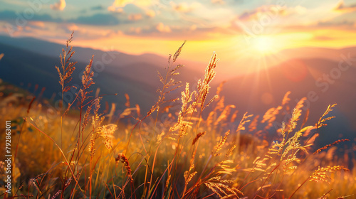 Autumn grass in the mountains at sunset. 