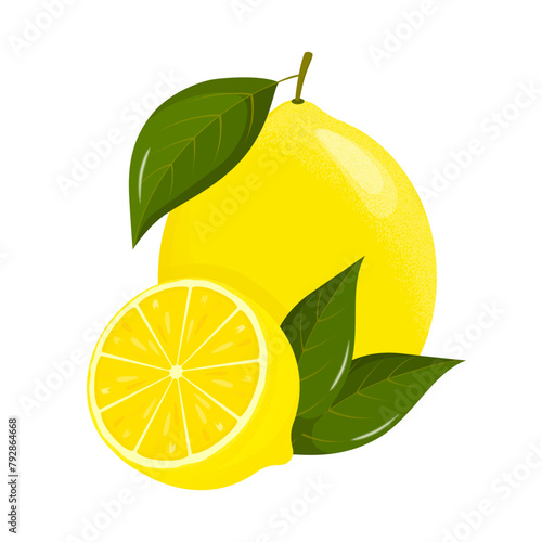 Lemon slices. Fresh citrus, half sliced lemons. Lemon is a fruit that is sour and has high vitamin C. Flat style. Vector illustration
