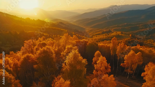 Autumn trees with yellow leaves in the mountains at sunset
