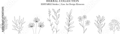 Herbal Collection. Editable line art monochrome Design. Set of linear floral designs, medicine flowers and plants