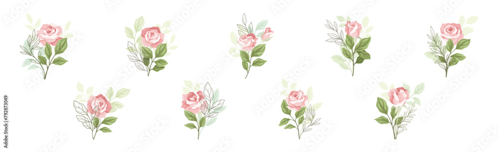 Beautiful Pink Rose Blossom on Stem with Green Leaf as Garden Flora Vector Set