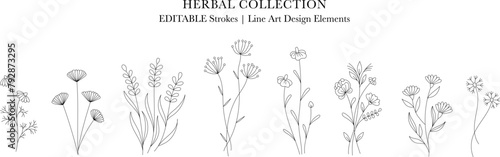 Herbal Collection. Editable line art monochrome Design. Set of linear floral designs, medicine flowers and plants