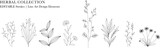 Herbal Collection. Editable line art monochrome Design. Set of linear floral designs, medicine flowers and plants
