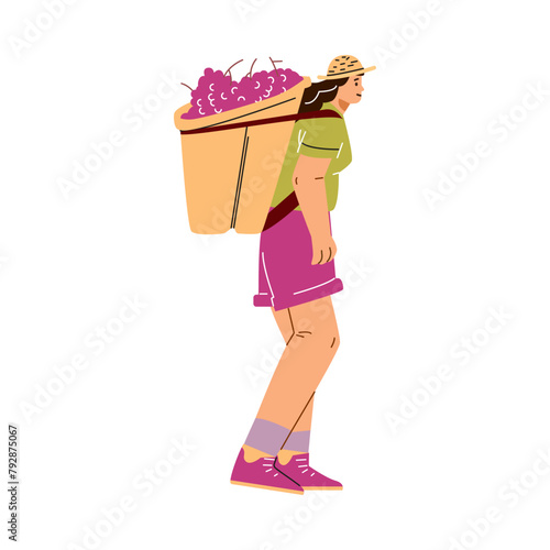 Vector illustration of a girl carrying a large basket of purple grapes from a vineyard on her shoulders.
