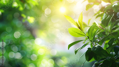 Beautiful nature view green leaf on blurred building background