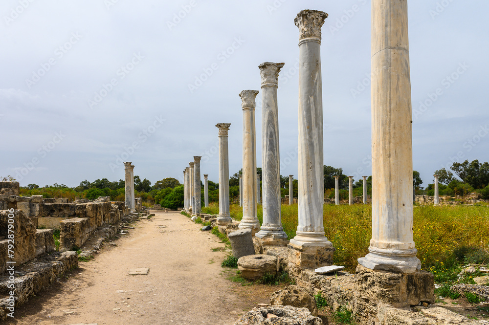 Remains of the ancient city of Salamis, Northern Cyprus 2