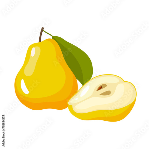 Illustration of whole and half pear with leaf isolated on white background.
