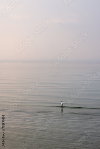 A lone heron greets the daybreak alone, its figure a solitary silhouette against the soft hues of a foggy dawn on Lake Garda