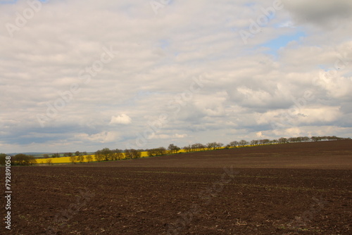 A field with a field of crops