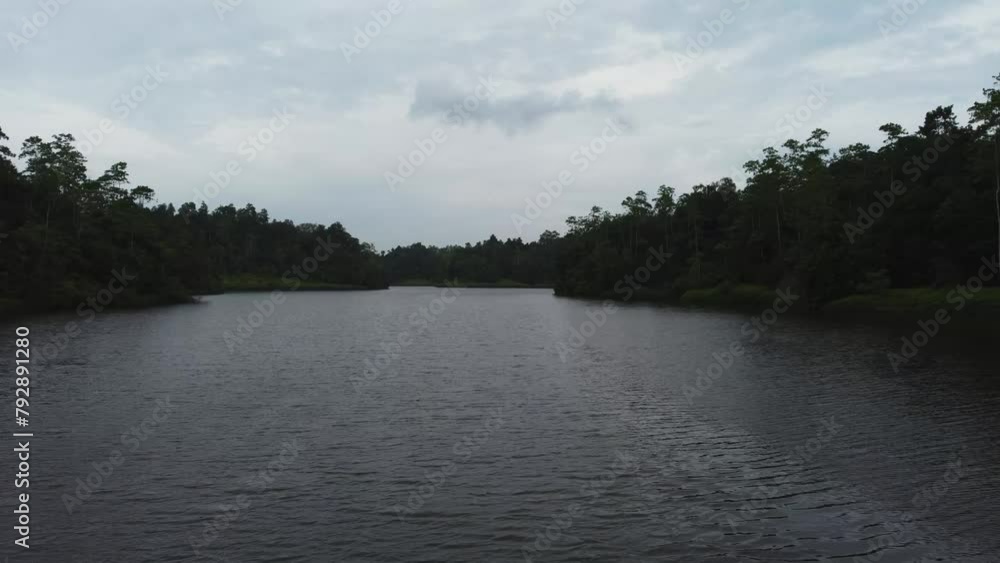 Drone flight over a river in the jugla of srilanka. 4k, overcast. Drone flight over a river in the jugla of srilanka. 4k, overcast.