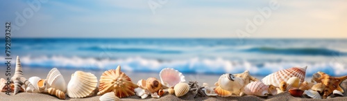 Shell arrange on th beach seascape background banner © Eyepain