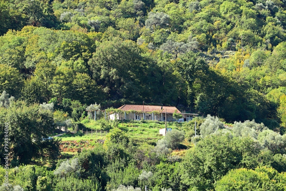 House with a tiled orange roof on a mountainside overgrown with trees