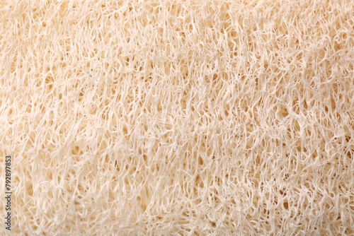 Loofah sponge as background, top view. Personal hygiene product