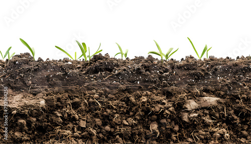 Brown soil cut out on transparent background