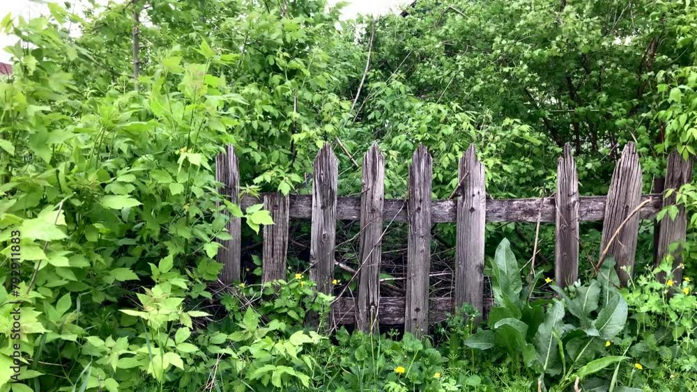 old wooden fence in an abandoned garden. copy space, natural green background outside old wooden fence in an abandoned garden. copy space, natural green background outside
