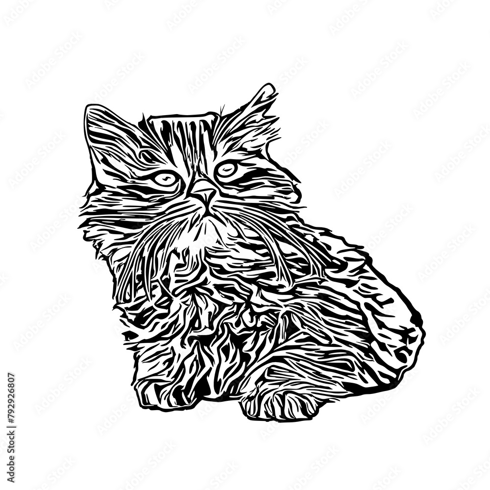 sketch of a cat with a transparent background sketch of a cat with a transparent background