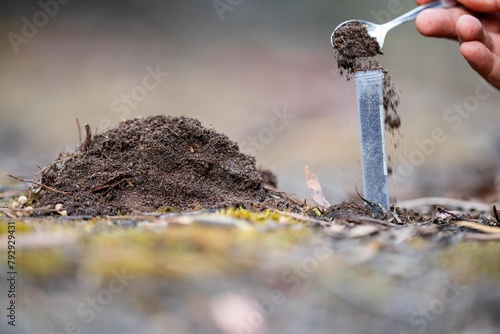 taking a soil sample for a soil test in a field. Testing carbon sequestration and plant health. photo