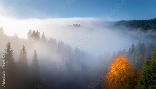 Mystical Autumn Fog in Black Forest, Germany - Enchanting Landscape with Rising Fog, , generated by AI © tino