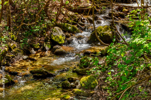 Mountain stream with water flowing between stones covered with green moss in spring forest