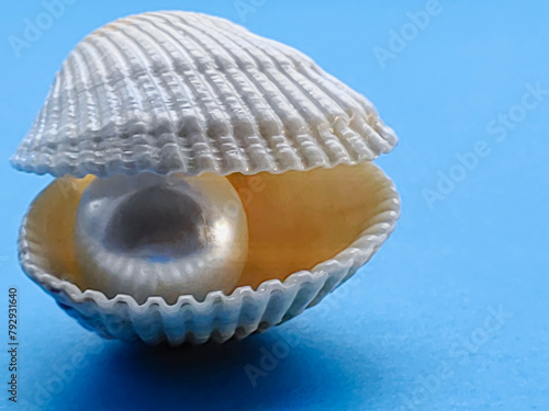 pearls in a seashell
