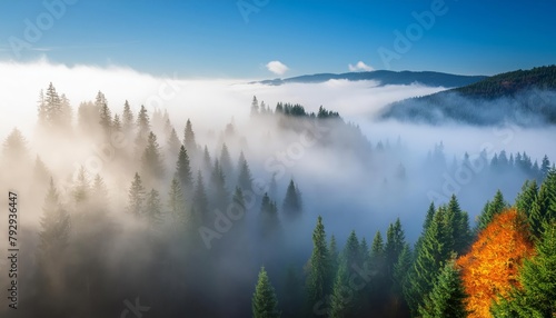 Mystical Autumn Fog in Black Forest, Germany - Enchanting Landscape with Rising Fog, , generated by AI © tino