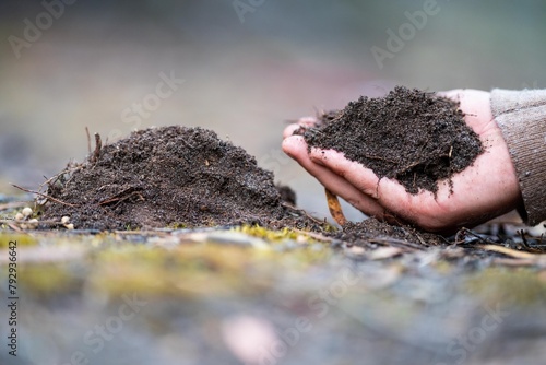 farmer holding soil in hand and pouring soil on ground. connected to the land and environment. soil agronomy in australia. soil heath study, pouring soil.