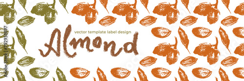 Almond banner background or label template design. Organic almond pattern with almond nuts crayon drawings. Almonds packaging or marzipan paste tag design. Vector botanical background.