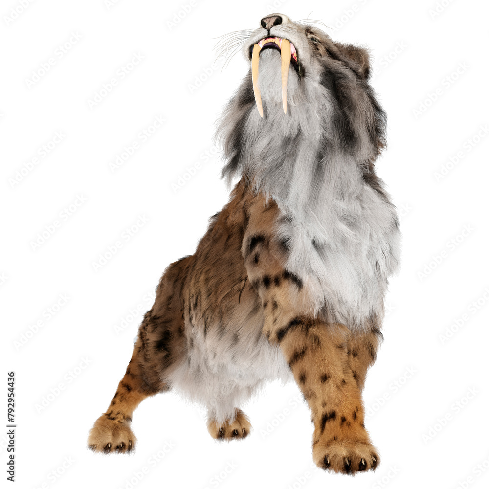 Obraz premium 3D Rendering Sabertooth Tiger on White
