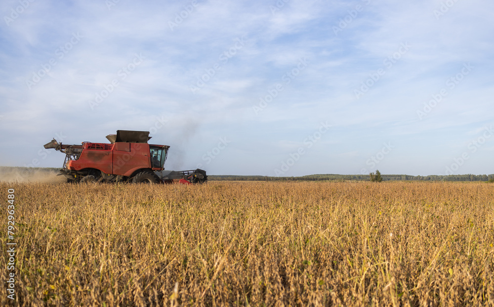 Fototapeta premium Harvesting combine in the wheat.