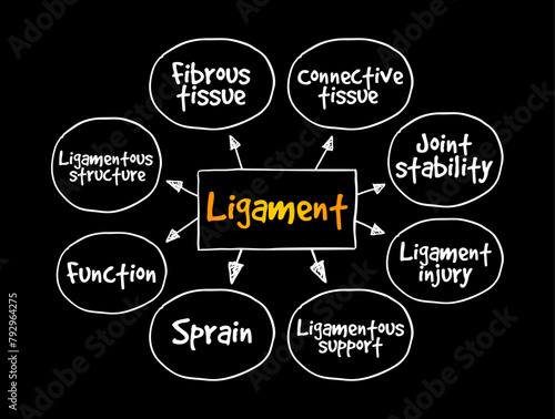 Ligament is a fibrous connective tissue that attaches bone to bone, mind map text concept background