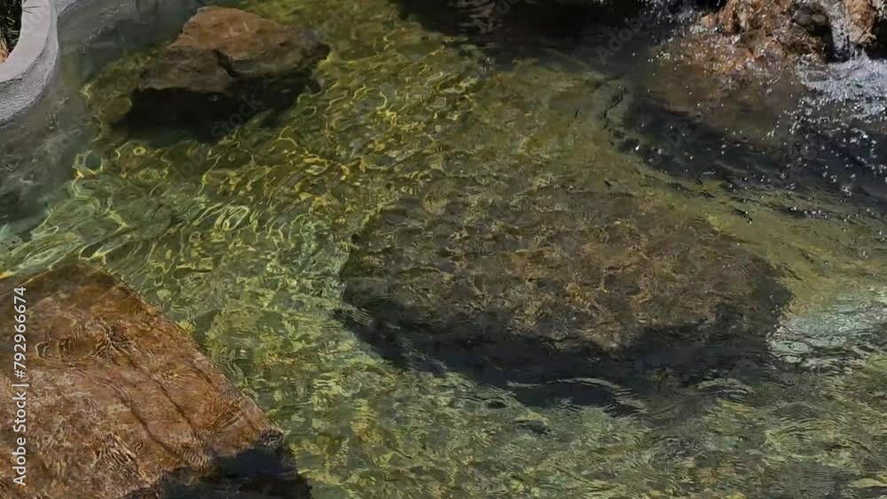 clear water in pool clear water in pool
