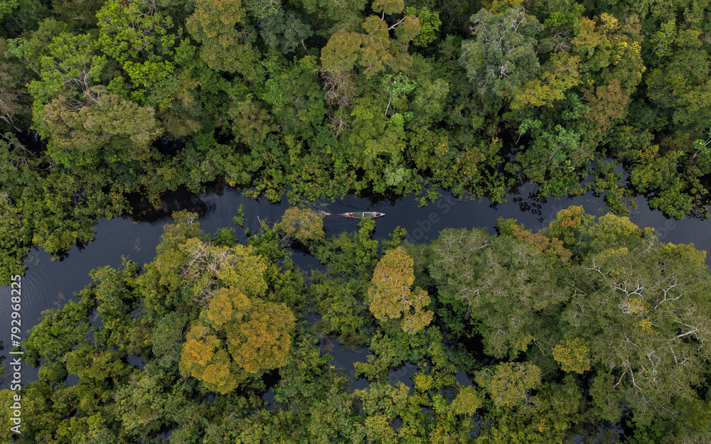 TAHUAYO RIVER IN THE TOWN OF LORETO IN THE PERUVIAN AMAZON, THE TAHUAYO IS AN AREA WITH HIGH BIODIVERSITY, ABUNDANT EXOTIC WILDLIFE, THE TAHUAYO RIVER TOURIST ATTRACTION, TAHUAYO TOURISM IN AMAZON