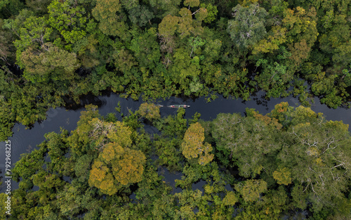 TAHUAYO RIVER IN THE TOWN OF LORETO IN THE PERUVIAN AMAZON, THE TAHUAYO IS AN AREA WITH HIGH BIODIVERSITY, ABUNDANT EXOTIC WILDLIFE, THE TAHUAYO RIVER TOURIST ATTRACTION, TAHUAYO TOURISM IN AMAZON