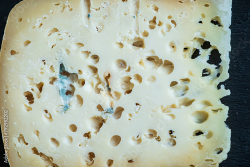 piece of craft goat cheese © Maksim Shebeko