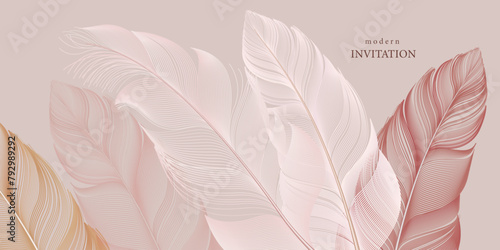 Pale feathers. Line art bird feather. Card, wallpaper, background template. Soft, elegant concept. Luxury design. Soft natural colors.