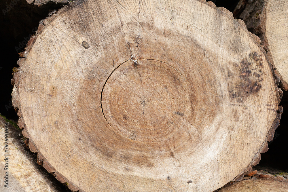 Pile of wood logs. Natural wooden background with closeup of clean cut of chopped firewood log.