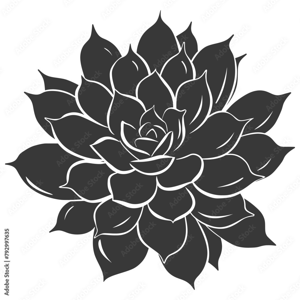 Obraz premium Silhouette Succulent plant black color only