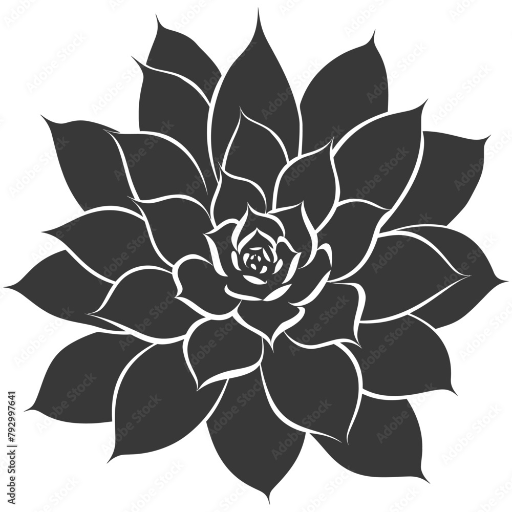 Silhouette Succulent plant black color only Silhouette Succulent plant black color only