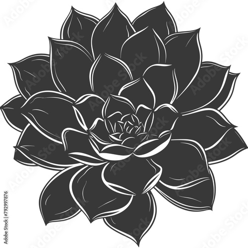 Silhouette Succulent plant black color only
