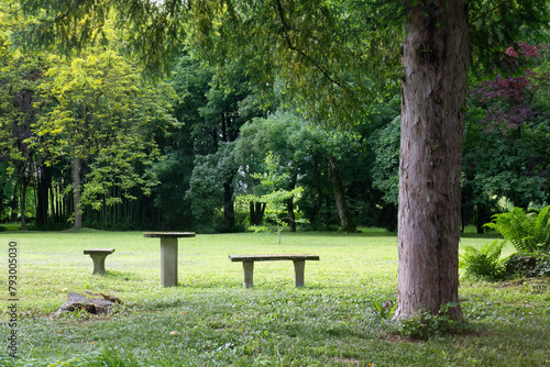 Two stone benches and a table in a park near a tree
