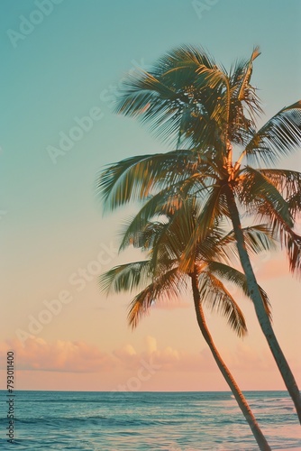 A palm tree is standing in front of the ocean © TheosArtTavern