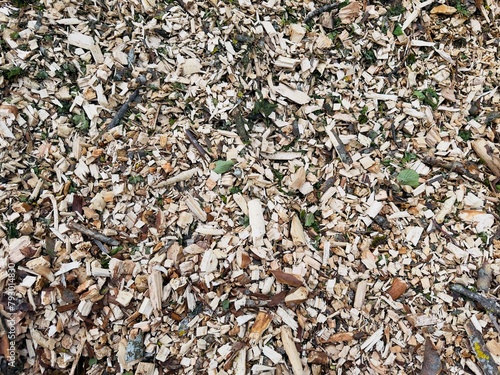 Amas de Bois Raméal Fragmenté