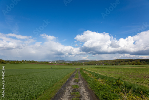 A road runs through a field with a clear blue sky above