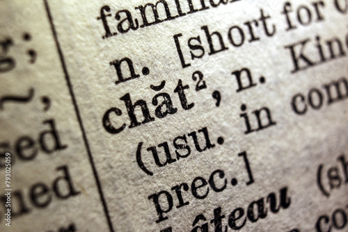 Word chat on dictionary page, macro close-up photo