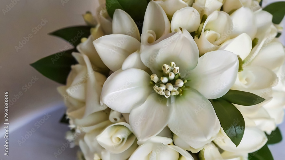 White rose flower bouquet in bundle shape for bridal in wedding ceremony
White rose flower bouquet in bundle shape for bridal in wedding ceremony