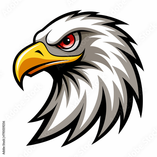 American bald eagle head vector illustration