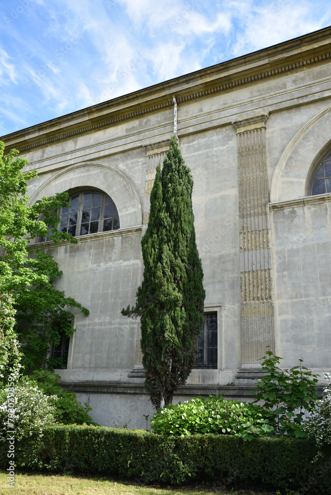 Cyprès au jardin Cyprès au jardin