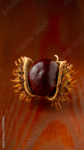 Chestnut fruit. Large and bright chestnuts, deep brown color