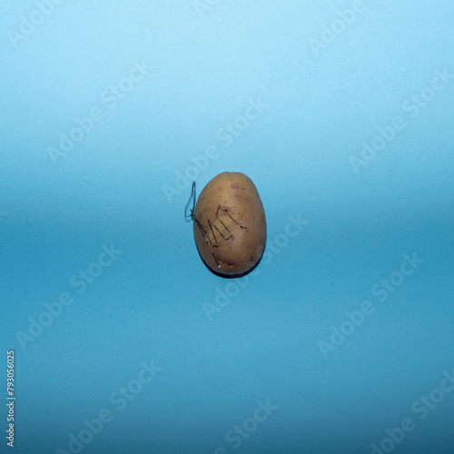 Damaged potato with sewing needle creative concept on a blue background.