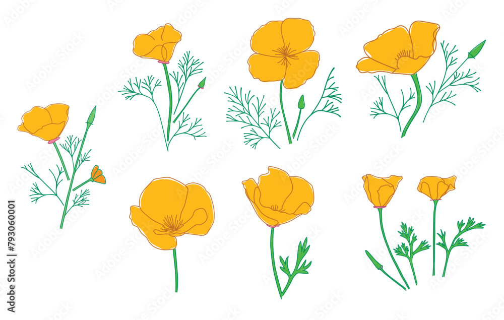 silhouettes of Eschscholzia flowers. California poppy - vector set of golden poppy